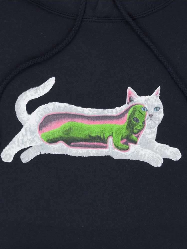 RIPNDIP TRANSNERM HOODIE