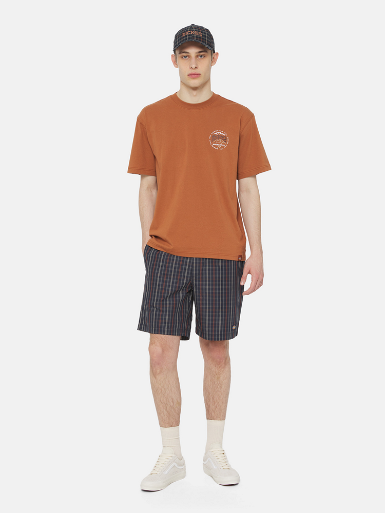 DICKIES SS STANARDSVILLE TEE MOCHA BISQ