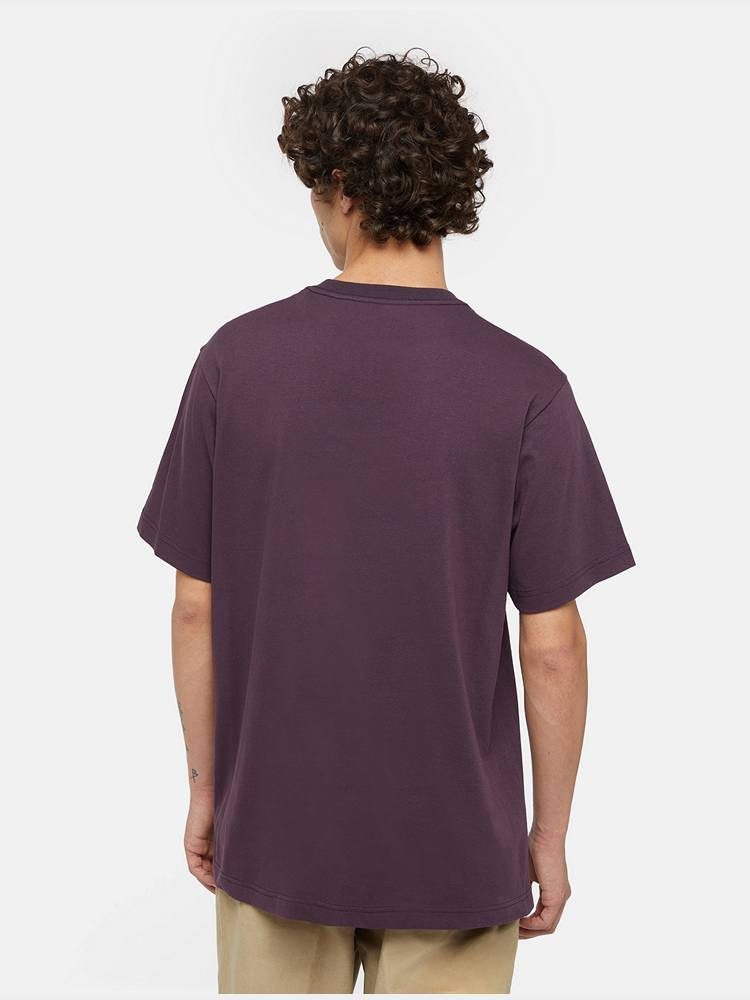 DICKIES ICON LOGO TEE PLUM PERFECT