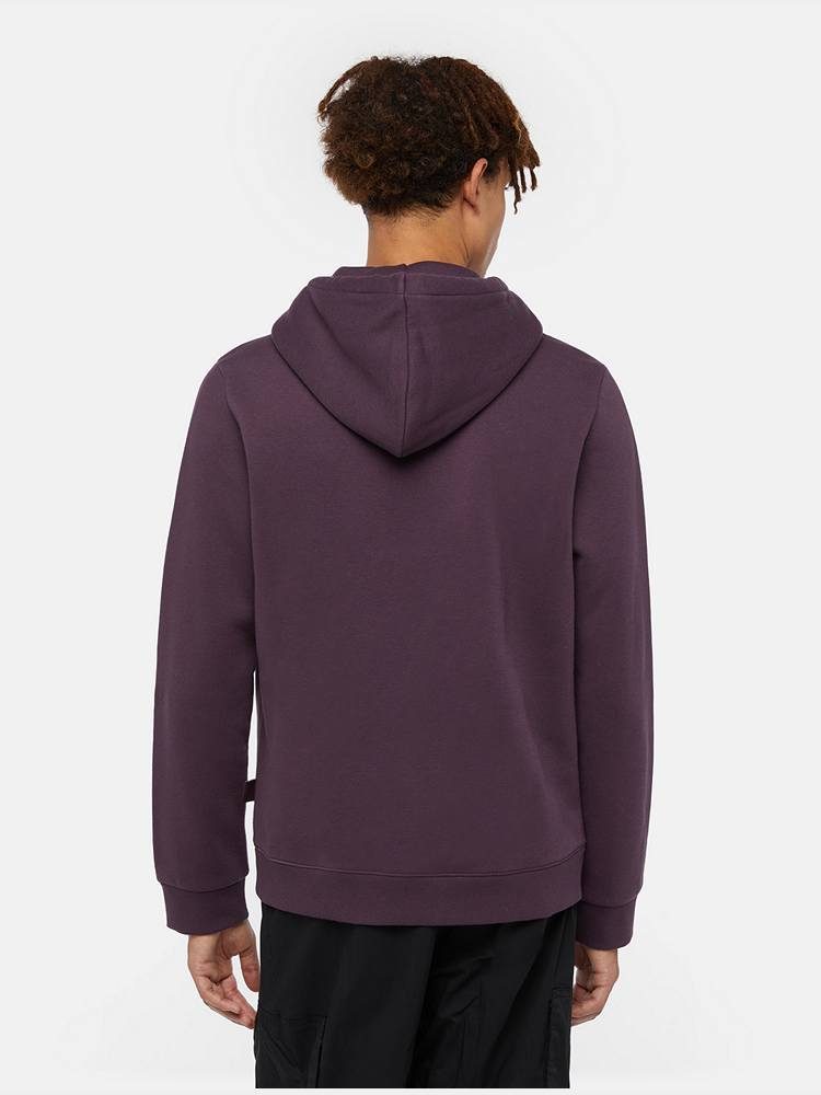 DICKIES ICON LOGO HOODIE PLUM PERFECT