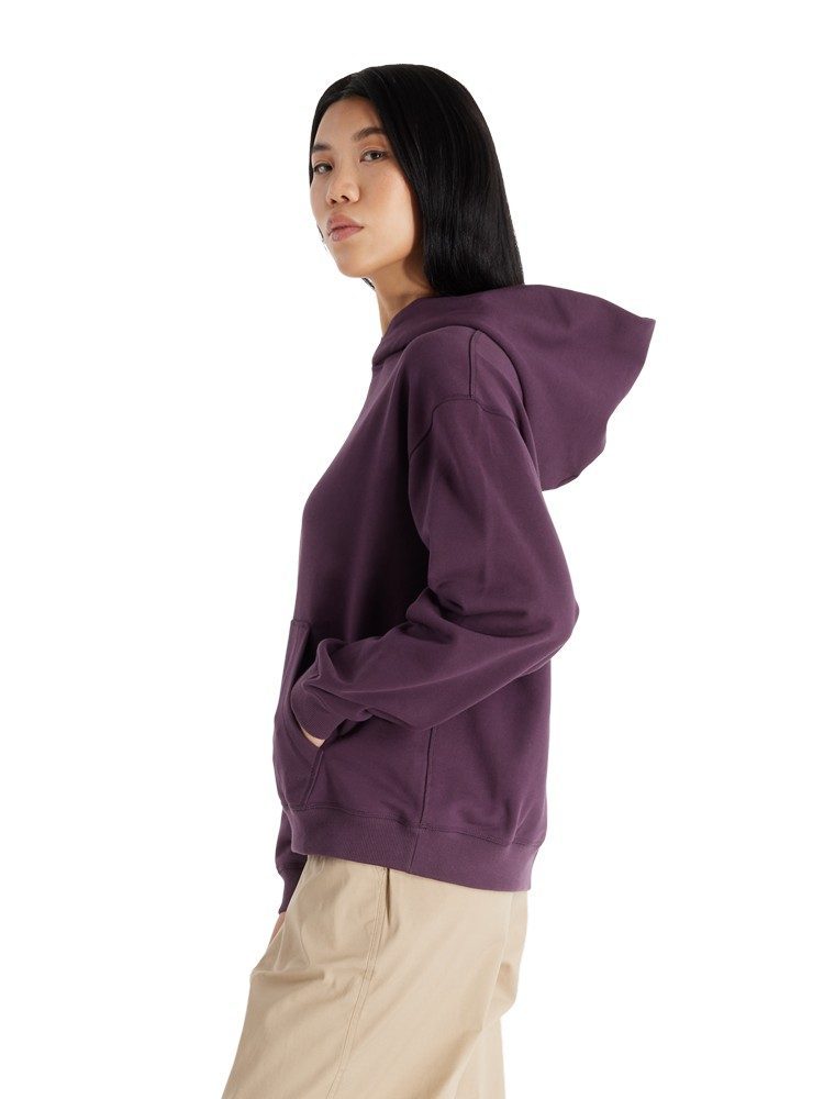 NEW BALANCE  ATHLETICS FRENCH TERRY OVERSIZED CHOICE HOODIE PLUM BROWN