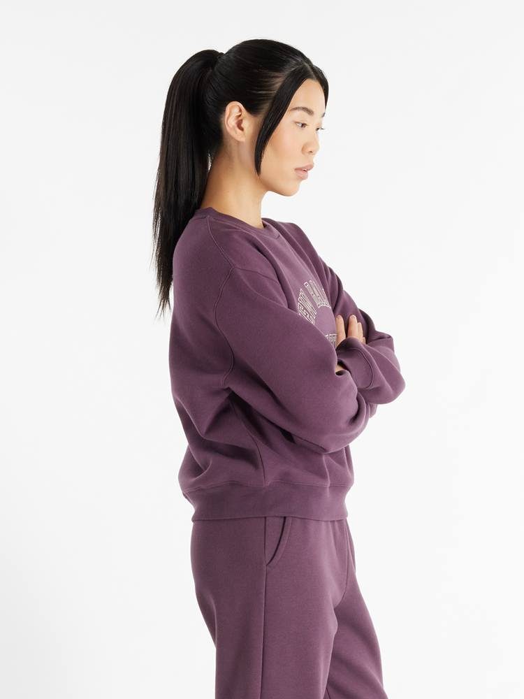 NEW BALANCE GRAPHIC FLEECE CREW PLUM BROWN