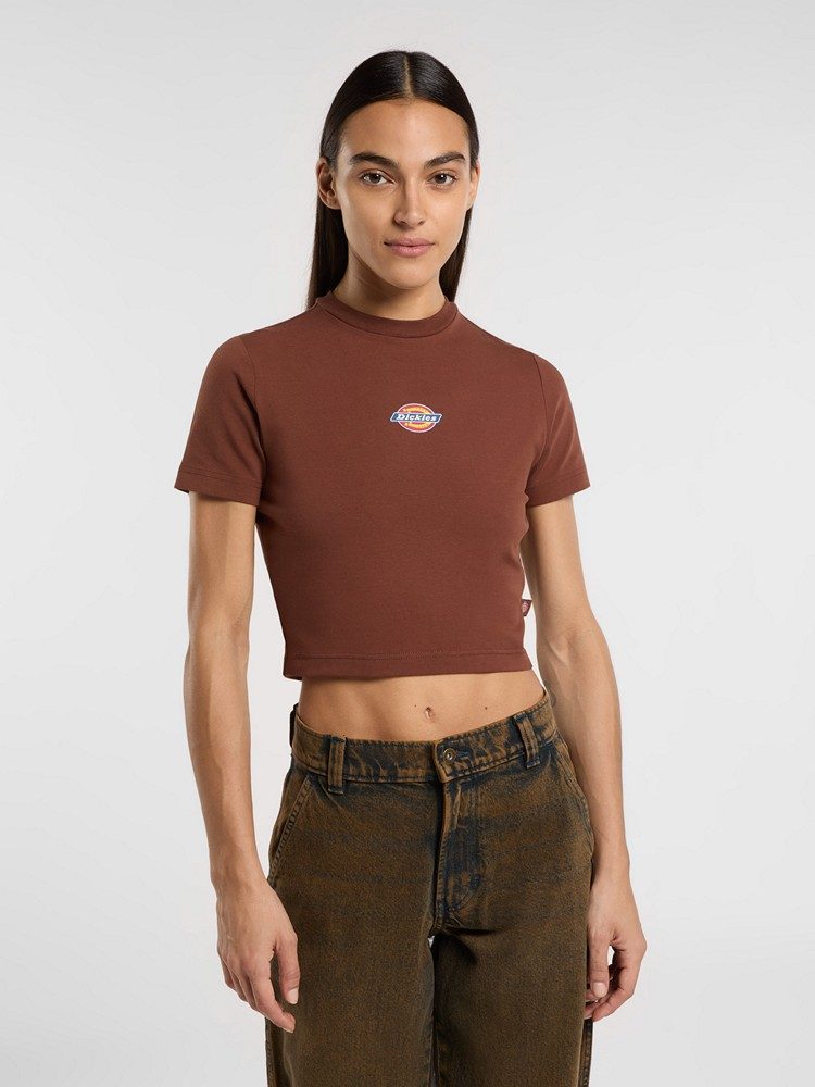 DICKIES MAPLE VALLEY TEE CAPPUCCINO