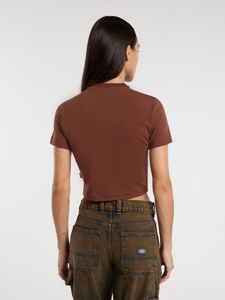 DICKIES MAPLE VALLEY TEE CAPPUCCINO