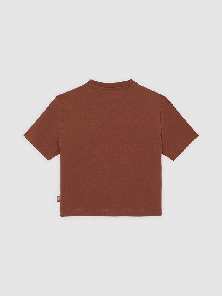 DICKIES MAPLE VALLEY TEE CAPPUCCINO