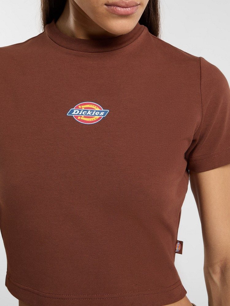 DICKIES MAPLE VALLEY TEE CAPPUCCINO