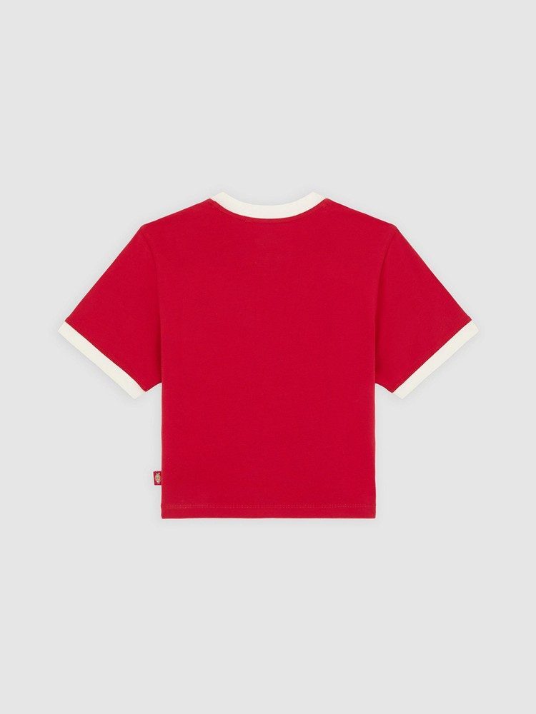 DICKIES LEWISTOWN RINGER SS TEE W ENGLI