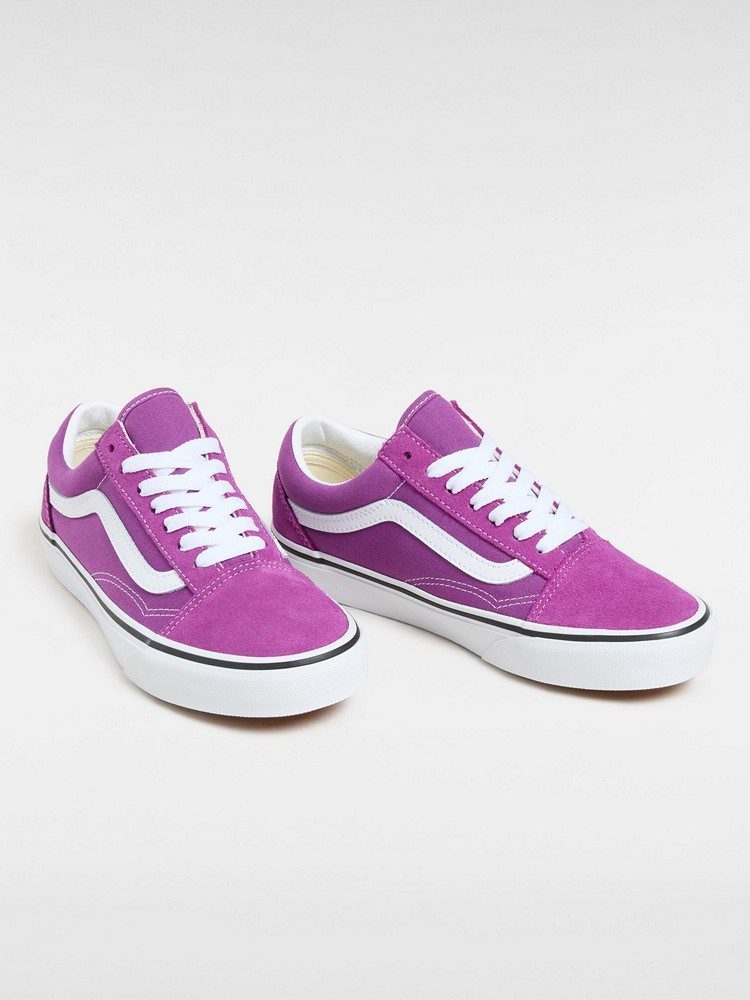 VANS OLD SKOOL CTHR WLHRB