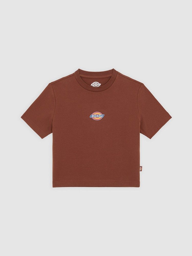 DICKIES MAPLE VALLEY TEE CAPPUCCINO