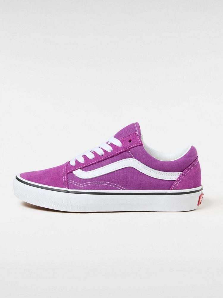 VANS OLD SKOOL CTHR WLHRB