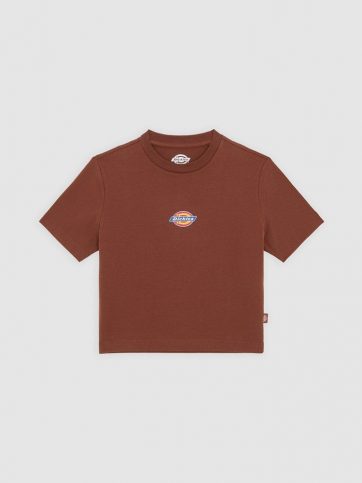 DICKIES DICKIES MAPLE VALLEY TEE CAPPUCCINO