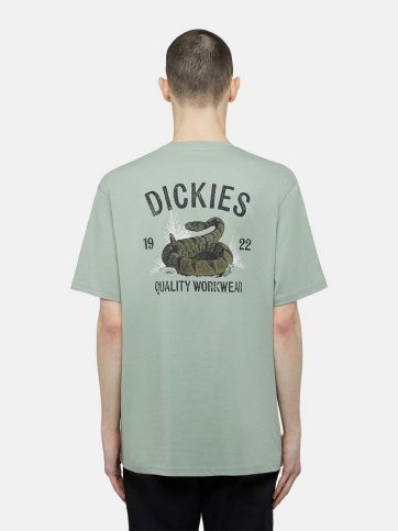 DICKIES DICKIES DICKIES SNAKE SS TEE ICEBERG GR