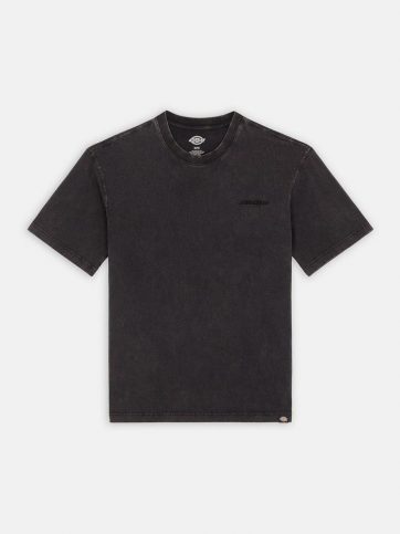 DICKIES DICKIES PLENTYWOOD TEE SS DBLE DYE/ACD B