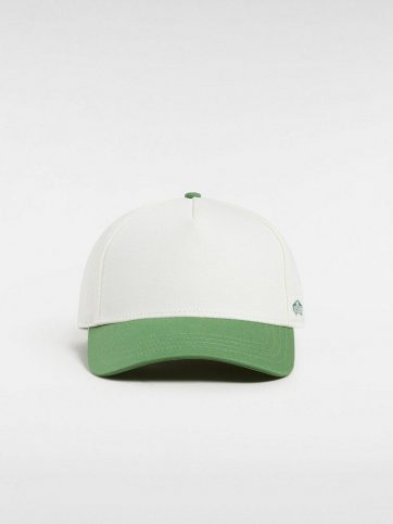 VANS VANS DATA SYSTEM STRAPBACK FAIRWAY